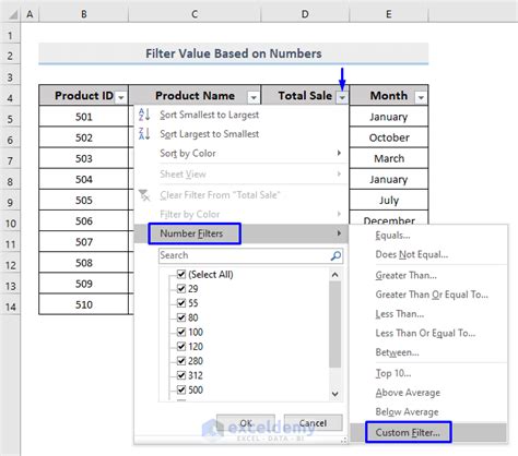 Excel Custom Filter