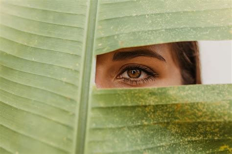 eye level photography