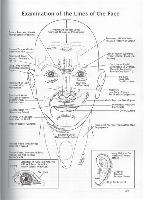 Face Mapping Chart