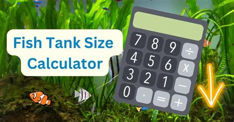 Factors to consider while using a fish tank size calculator