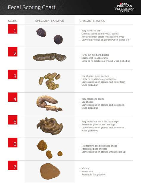 Fecal Scoring Chart Dog
