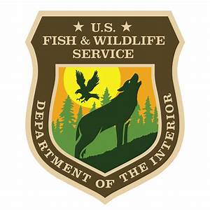 fish and wildlife department