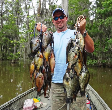 Importance of Fish Conservation in South Carolina