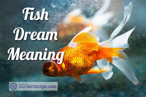 Fish Dream Meaning Fertility