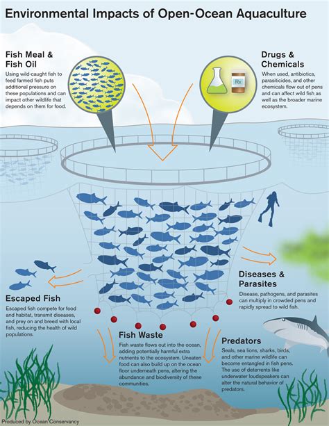 Environmental impacts of fish farming in Texas
