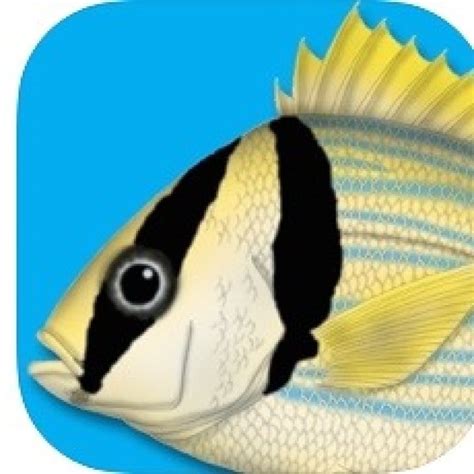 fish identification app search
