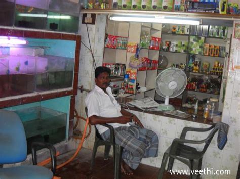 fish tank service in chennai