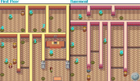 Flannery Gym Walkthrough