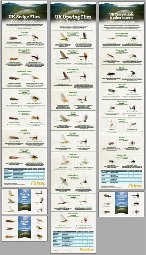 Fly Fishing Hatch Chart