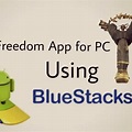 freedom app not installing
