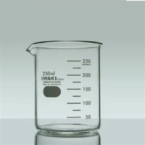 Langkah-Langkah Penggunaan Gelas Kimia 250 ml