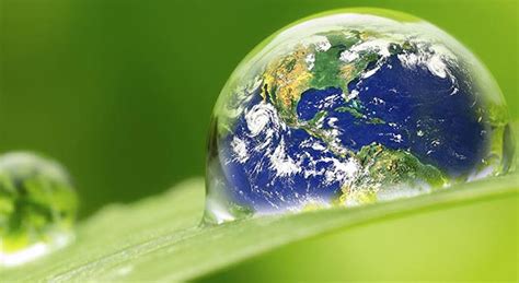 Globalization and environmental policies