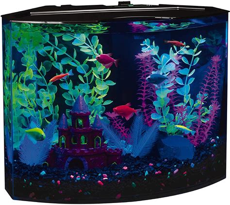 Glow in the dark fish tank hobby