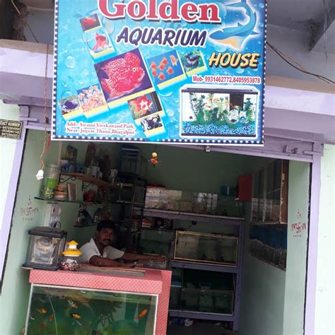 golden aquarium house