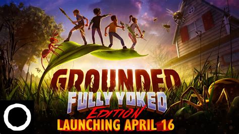 Grounded Fully Yoked Walkthrough