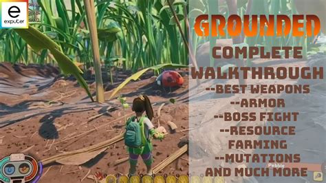 Grounded Game Walkthrough