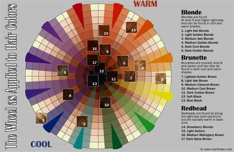 Hair Color Wheel Coloring Wallpapers Download Free Images Wallpaper [coloring536.blogspot.com]