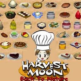 Harvest Moon Back to Nature Android Resep Masakan