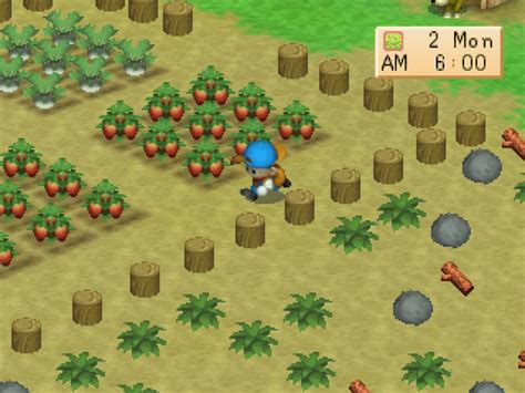 harvest moon back to nature pc download