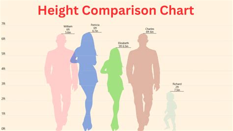 Height Compare Chart