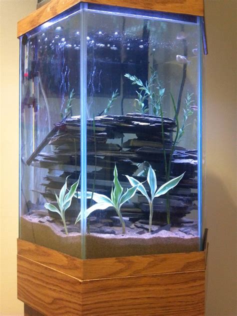 Hexagon Fish Tank Display