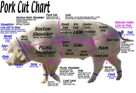 Hog Cut Chart