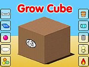 Hooda Math Grow Cube Walkthrough