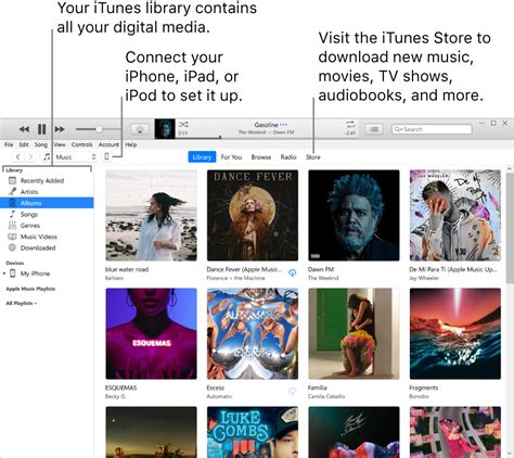 iTunes