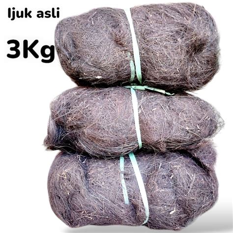 ijuk