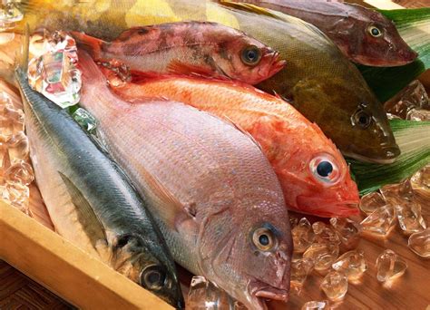 Ikan Laut