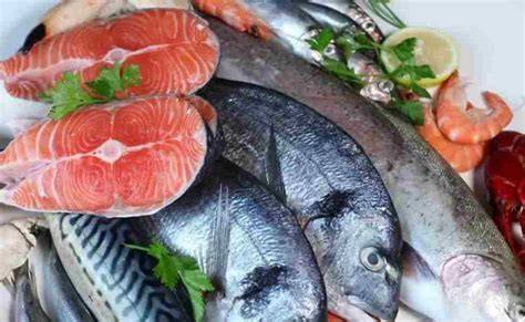 ikan segar