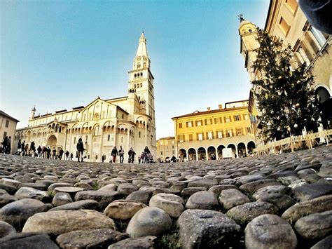 il pioppo Modena