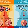 immunotherapy+cancer+treatment