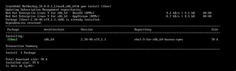 Import Netbackup Catalog To New Master Server