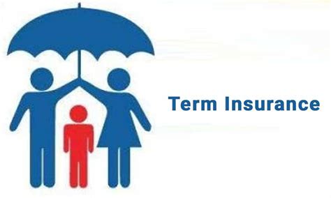 insurance policy terms