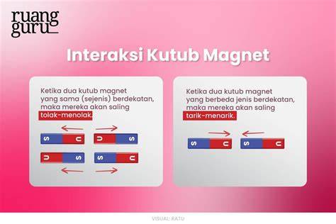 Interaksi Magnet