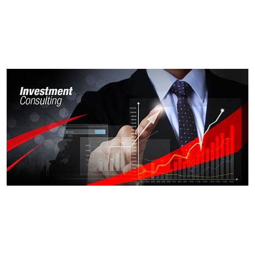 Investment consulting services