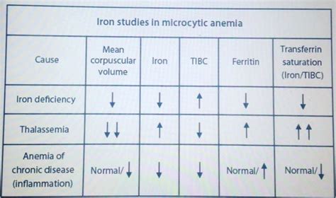 Iron Anemia Chart