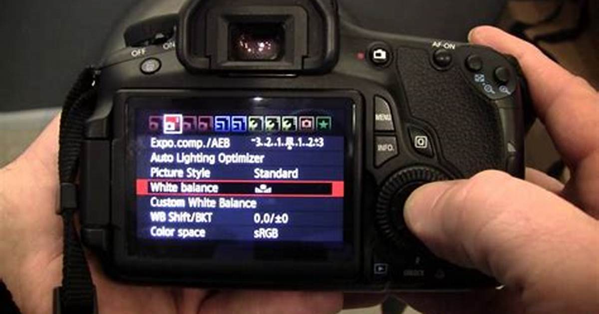 ISO dan White Balance Canon EOS 60D