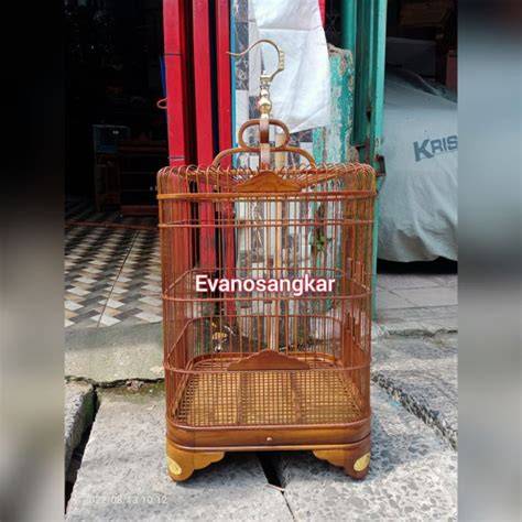 Kandang kacer