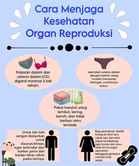 Kesehatan organ intim