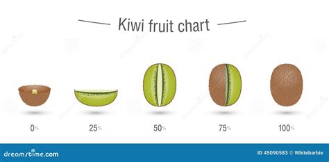 Kiwifruit Size Chart