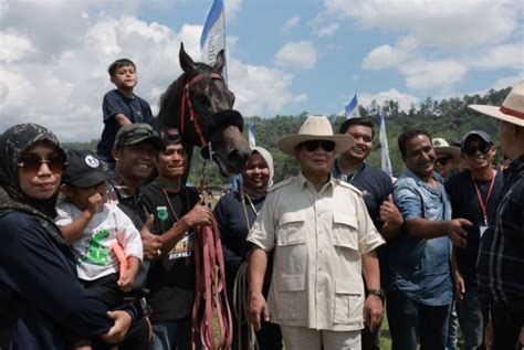 koboi bersama kuda