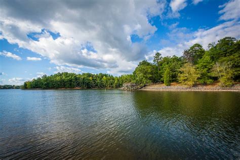 Lake Wylie Conservation