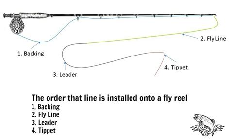 leader+tippet+fly
