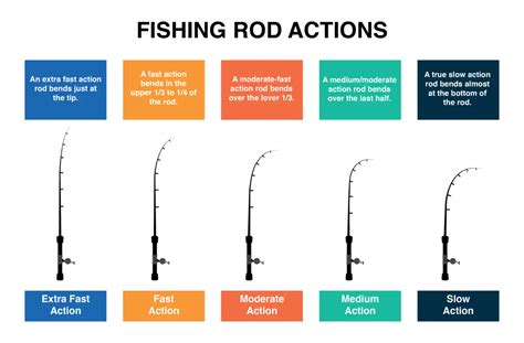 Length and Action of Rocket Fishing Rods