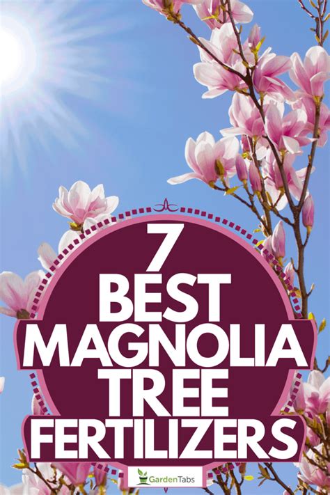 Magnolia tree fertilizer