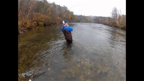 Manistee River Fishing Spots