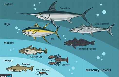 Map of fish high in mercury
