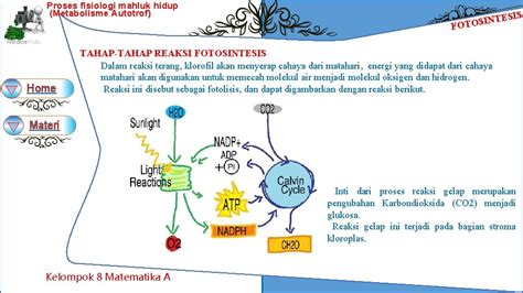 metabolisme autotrof kemosintetik